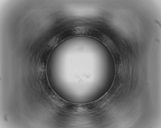 X0000096210737200801251034