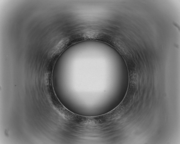 X0000096210738200801251034