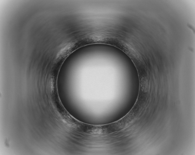 X0000096210740200801251034