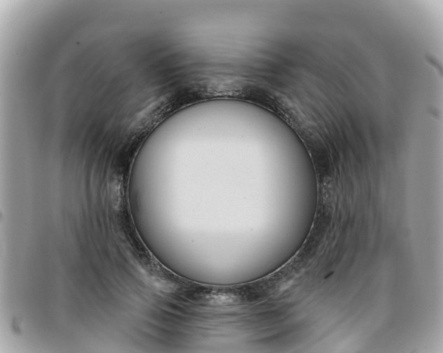 X0000096210741200801251034