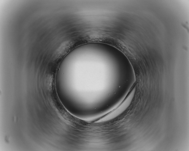 X0000096210742200801251034