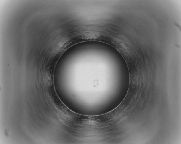 X0000096210743200801251034