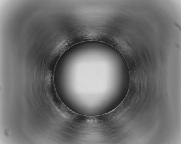 X0000096210744200801251034