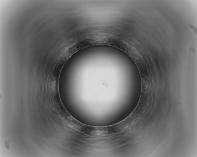 X0000096210745200801251034