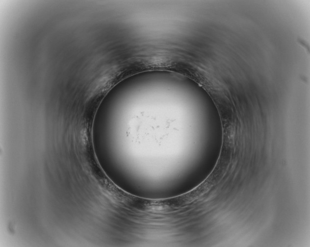 X0000096210746200801251034