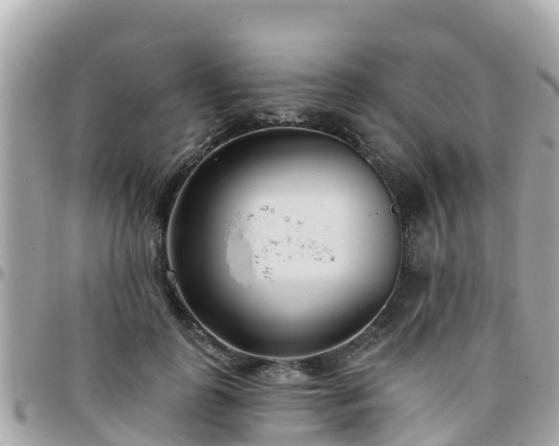 X0000096210747200801251034