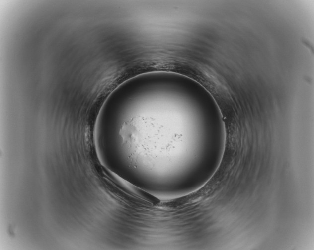 X0000096210748200801251034