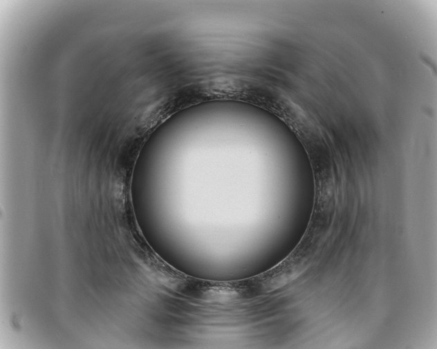 X0000096210749200801251034