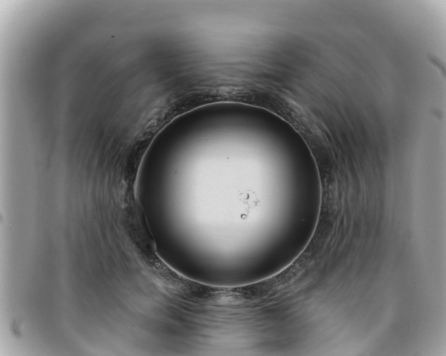 X0000096210750200801251034