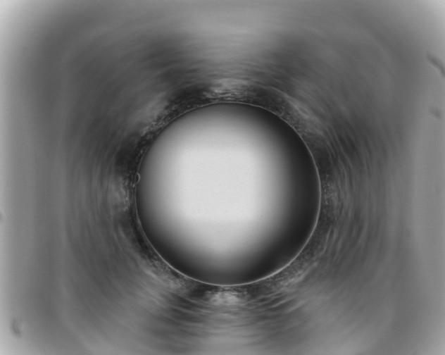 X0000096210751200801251034