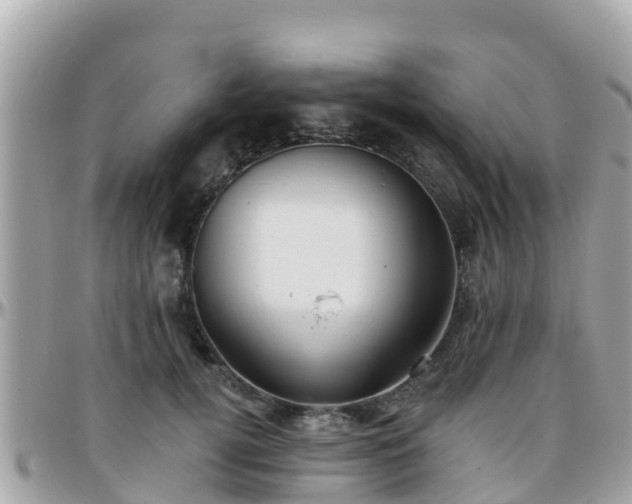 X0000096210752200801251034