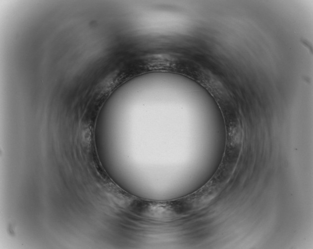 X0000096210753200801251034