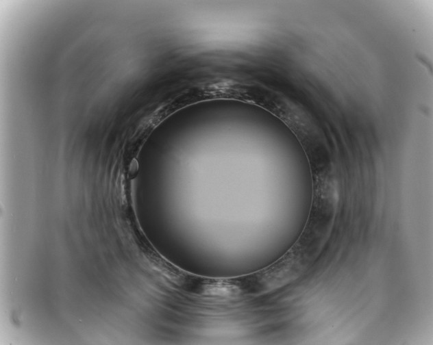 X0000096210754200801251034