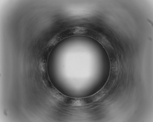 X0000096210755200801251034