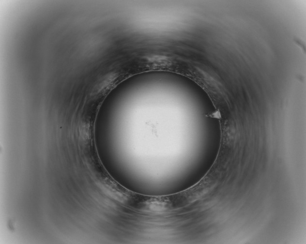 X0000096210756200801251034