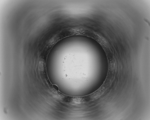 X0000096210757200801251034