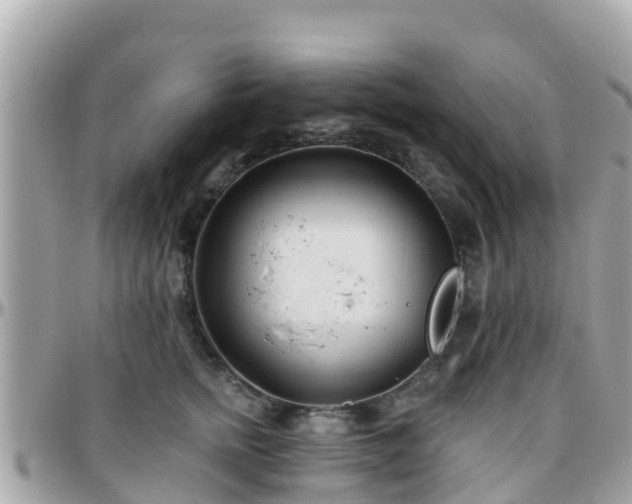 X0000096210758200801251034