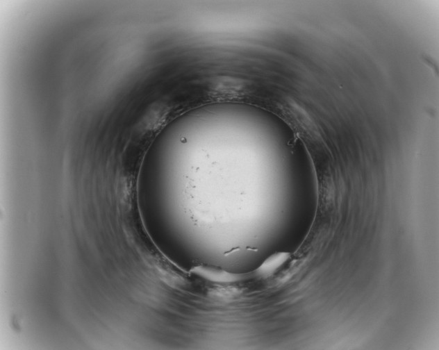 X0000096210759200801251034