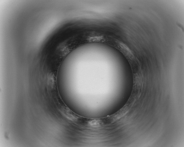 X0000096210761200801251034