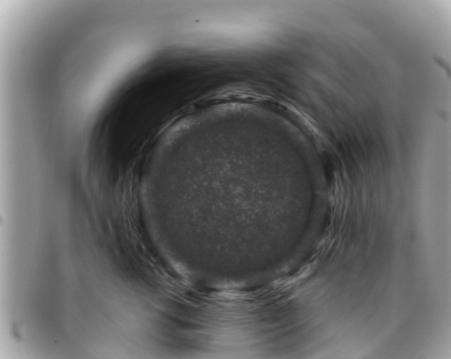 X0000096210762200801251034