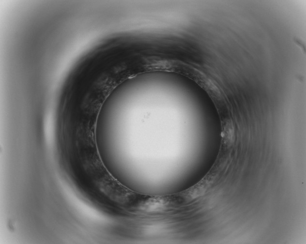 X0000096210764200801251034