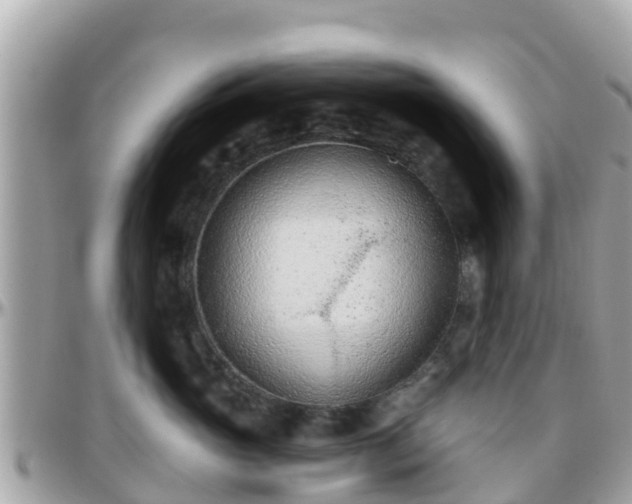 X0000096210765200801251034