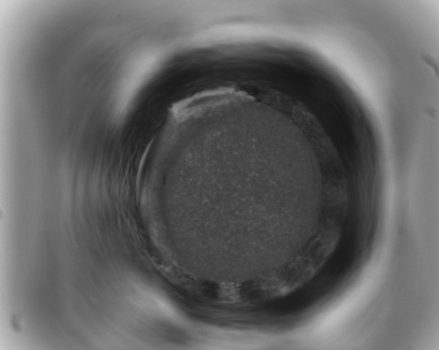 X0000096210766200801251034