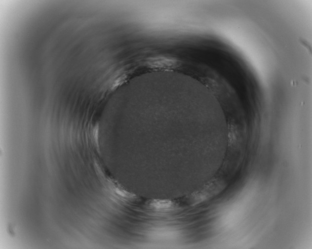 X0000096210767200801251034