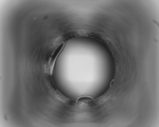 X0000096210768200801251034