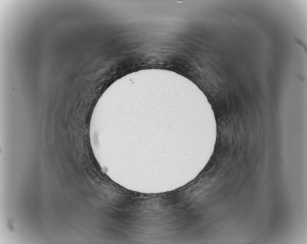 X0000096210769200801251034