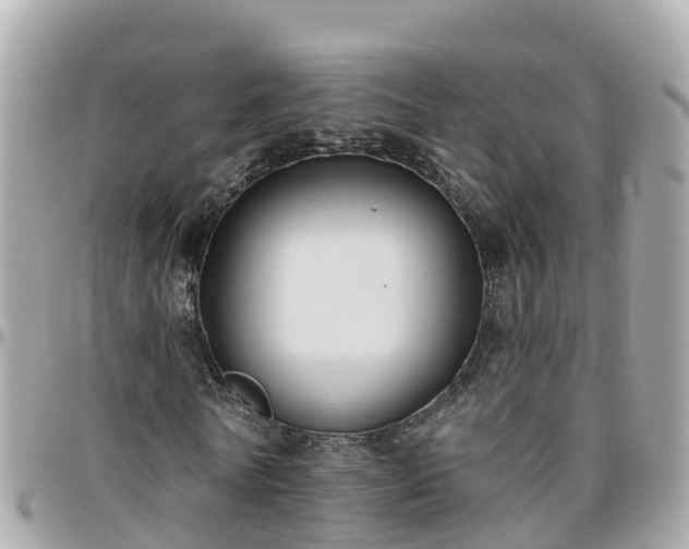 X0000096210770200801251034