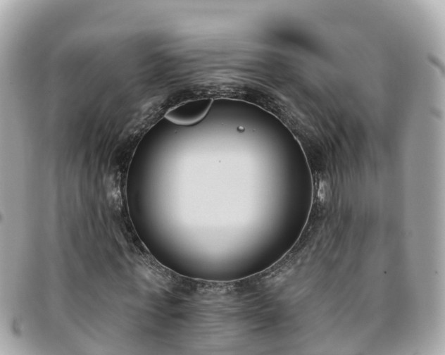 X0000096210771200801251034