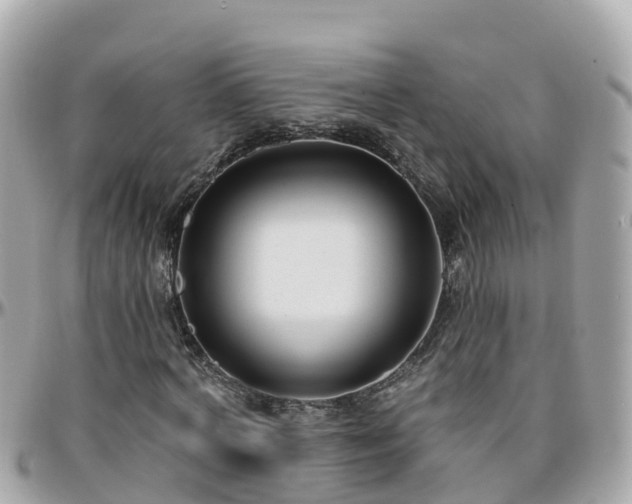 X0000096210772200801251034