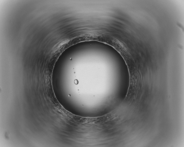 X0000096210773200801251034