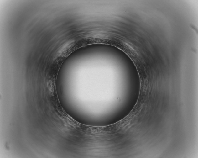 X0000096210774200801251034