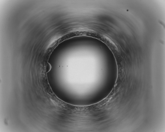 X0000096210775200801251034