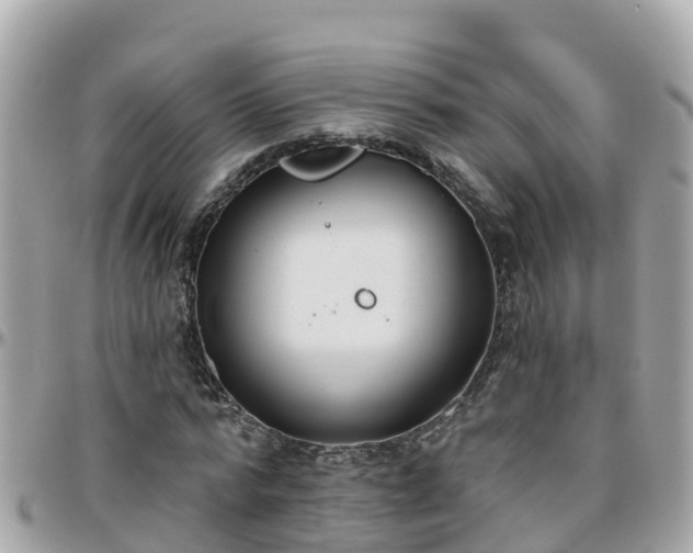 X0000096210776200801251034