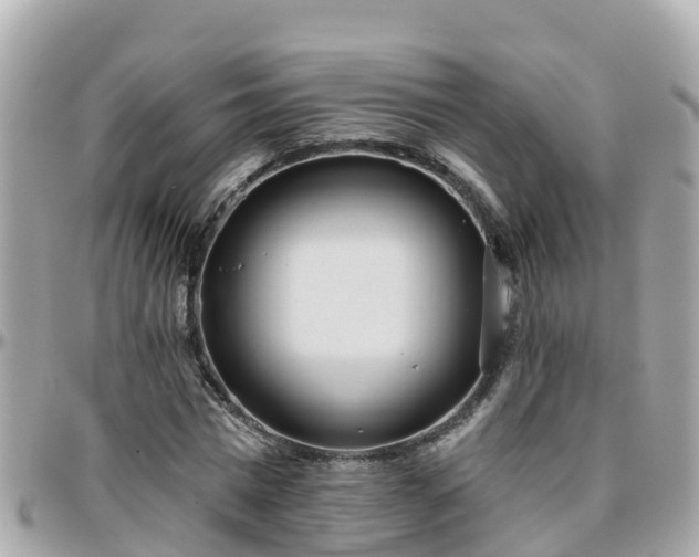 X0000096210777200801251034