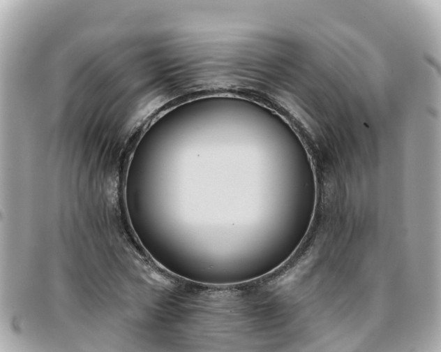 X0000096210778200801251033