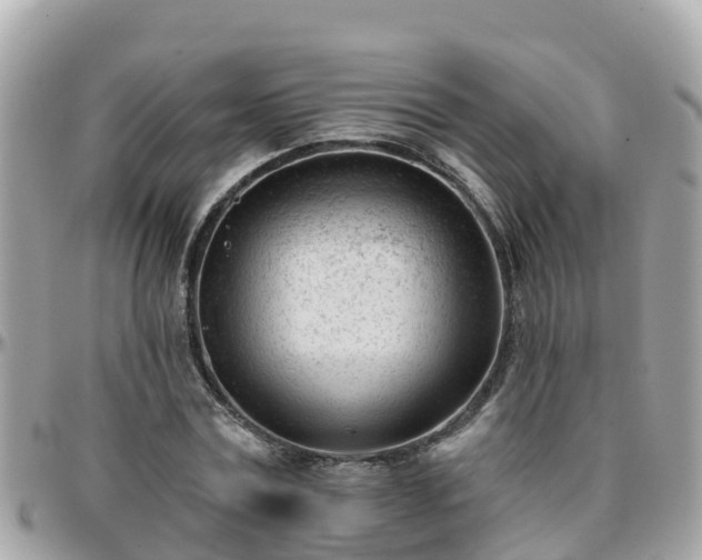 X0000096210779200801251033