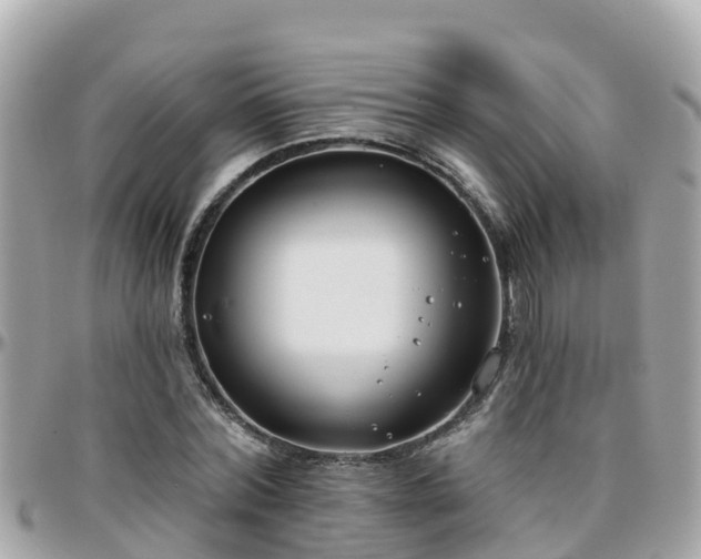 X0000096210780200801251033