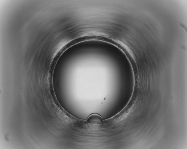 X0000096210783200801251033