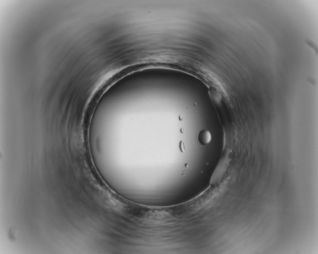 X0000096210784200801251033