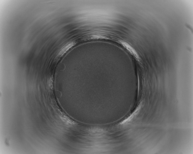 X0000096210785200801251033