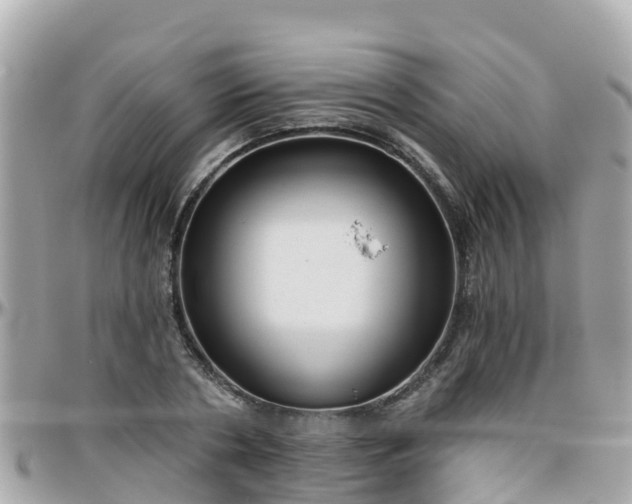 X0000096210786200801251033