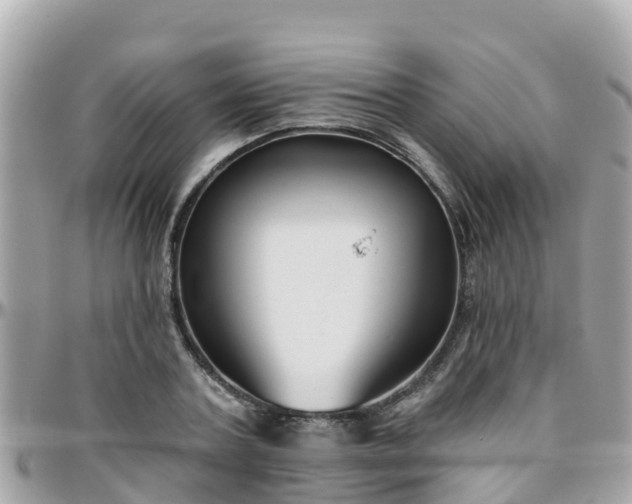 X0000096210787200801251033