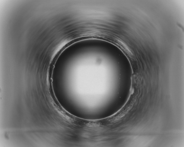 X0000096210788200801251033