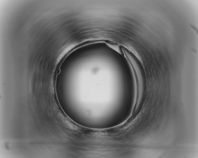 X0000096210789200801251033