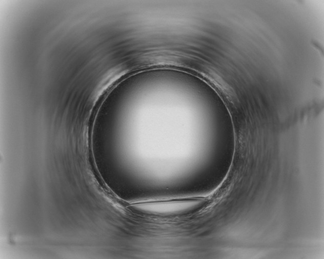 X0000096210790200801251033