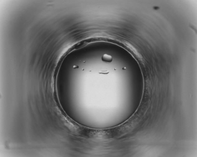 X0000096210791200801251033